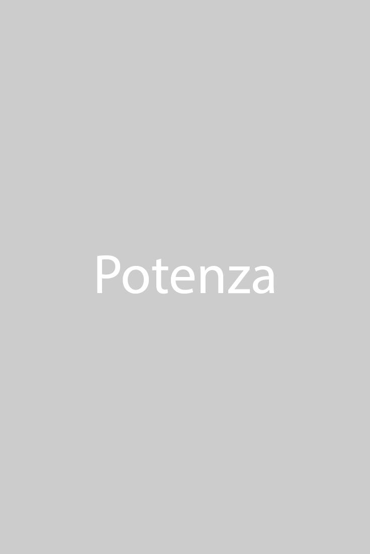 Potenza program poster